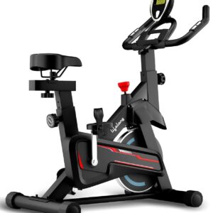 Lifelong Fit Pro Spin Fitness Bike for Home